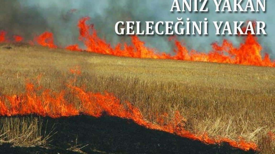 ANIZ YANGINLARININ ÖNLENMESİ